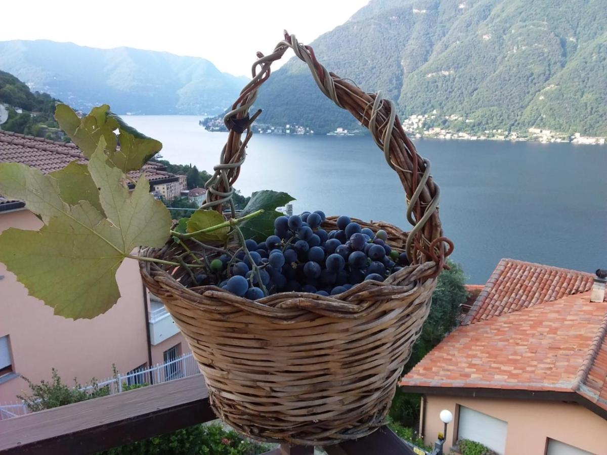 Romantic Home - Lake Como เนสโซ ภายนอก รูปภาพ