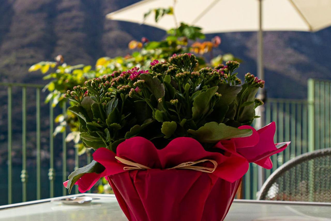Romantic Home - Lake Como เนสโซ ภายนอก รูปภาพ